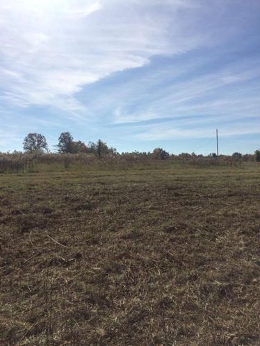 Plateau Road: Plateau Road, Crossville, TN 38571